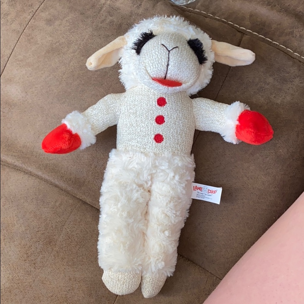 Dog toy